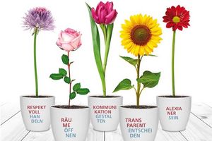 Das Alexianer-Leadership-Programm mit den fünf Führungsgrundsätzen. 